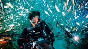 Scuba Diving Adventures