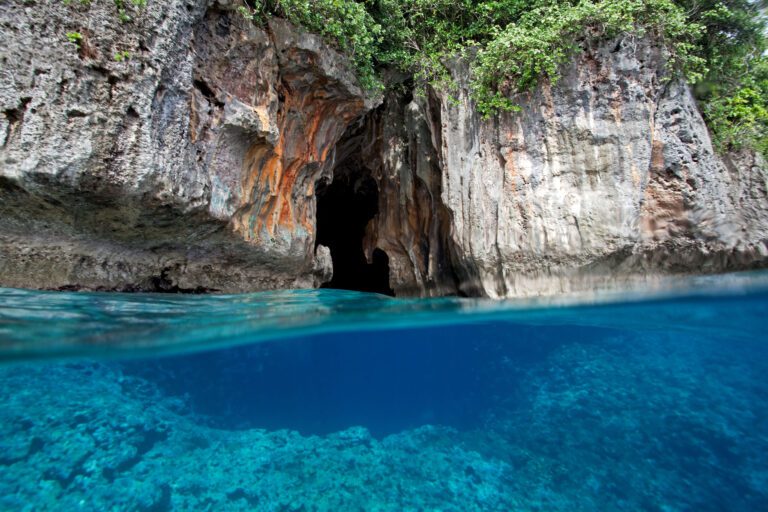 Scuba Diving in Tonga: Unveiling the Kingdom's Underwater Splendors