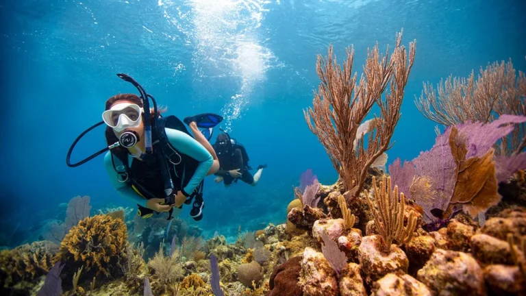 Scuba Diving in Egypt: Unveiling the Underwater Treasures of the Red Sea