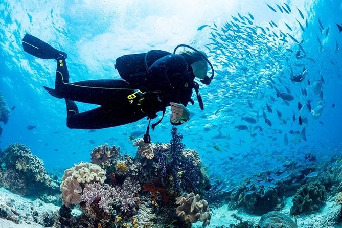 Scuba Diving in Egypt: Unveiling the Underwater Treasures of the Red Sea