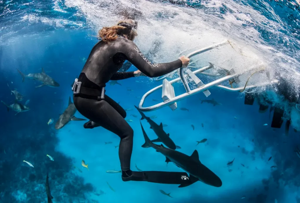 Exploring Marine Conservation Through Scuba Diving Adventures