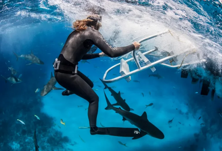 Exploring Marine Conservation Through Scuba Diving Adventures