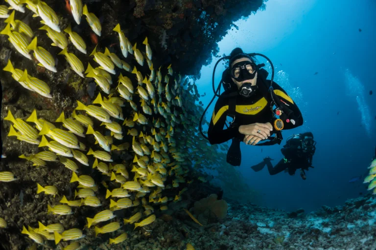 Explore the World's Best Scuba Diving Destinations for Unforgettable Adventures