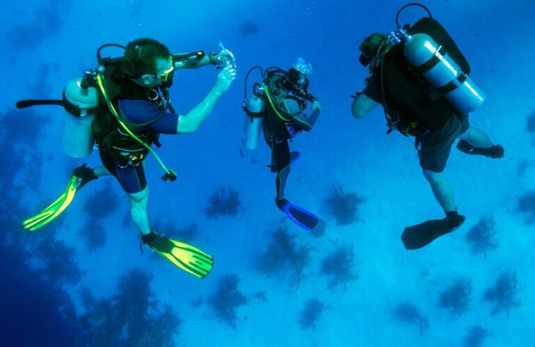 Scuba Gear Essentials: Must-Have Diving Equipment for Every Adventure