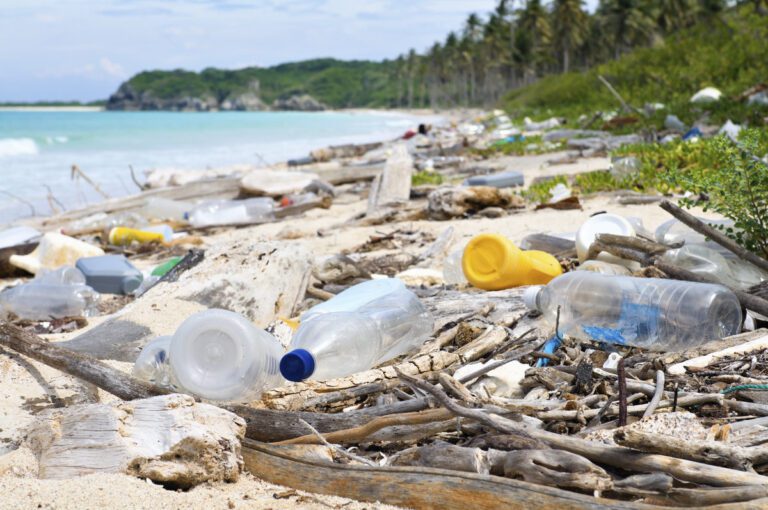 Plastic Pollution in Our Oceans: Current Challenges and Solutions