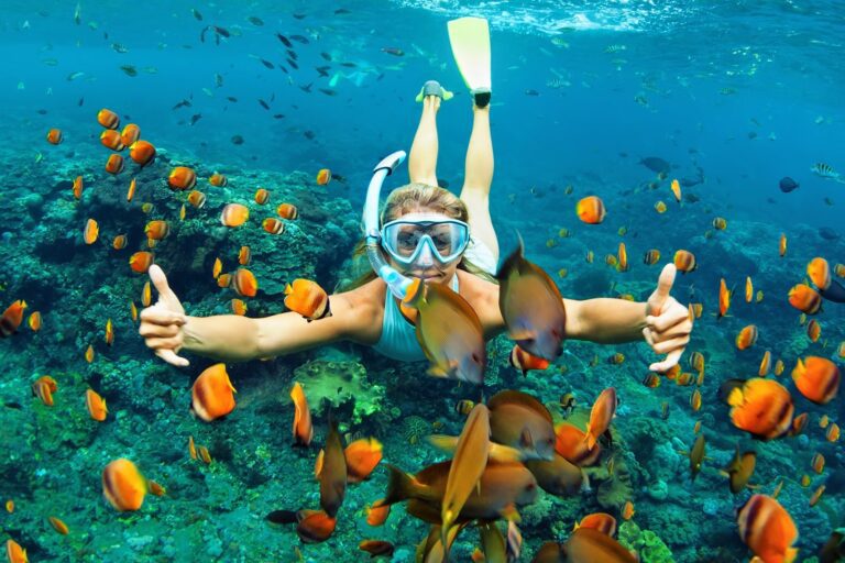 Explore the World's Premier Scuba Diving Destinations